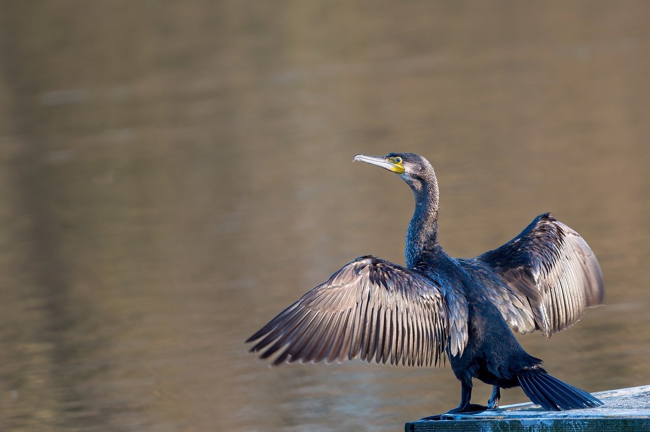 跨越障碍,共筑辉煌:团队协作中的挑战与应对