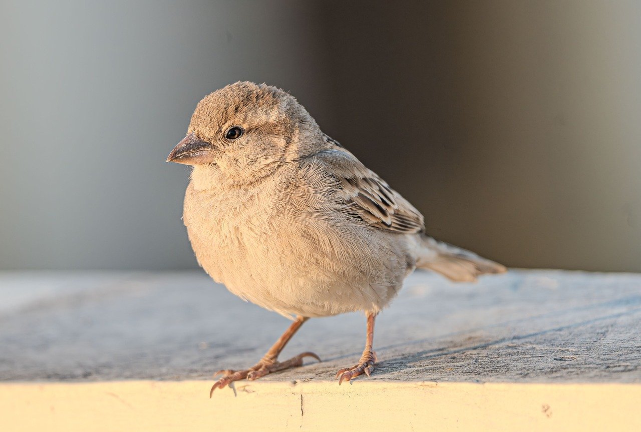 跨部门团队协作的挑战与突破之道